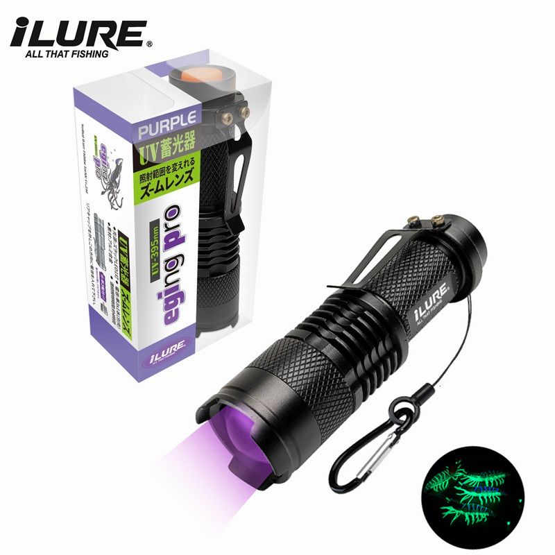 Fishing Lure Kit - Mini lampe de poche UV 395nm,